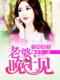 闪婚霸爱:老婆,晚上见