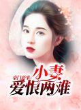 豪门恋事:小妻爱恨两难