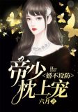 婚不设防:帝少枕上宠
