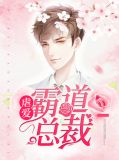 虐爱霸道总裁安意欢顾城皓