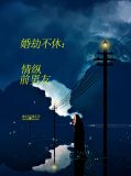婚劫不休:情纵前男友何绍庭