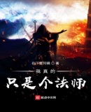 我真的只是个法师!