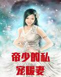 帝少的私宠暖妻