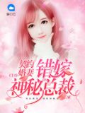 契约婚妻:错嫁神秘总裁