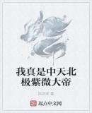 我真是中天北极紫微大帝