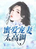 蜜爱宠妻太高调傅安歌
