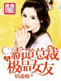 霸道总裁的极品女友