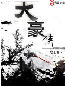 大豪侠