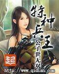 特种兵王