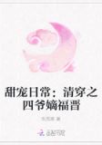 甜宠日常:清穿之四爷嫡福晋
