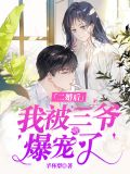 二婚后,我被三爷爆宠了
