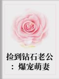 捡到钻石老公:爆宠萌妻