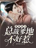 龙凤双宝:总裁爹地不好惹