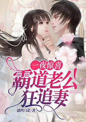一夜惊喜:霸道老公狂追妻