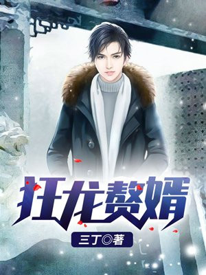 狂龙赘婿(又名:上门女婿、狂兵赘婿)