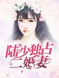 陆少独占二婚妻秦欢