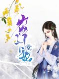 农门下堂妃白锦绣孙恪
