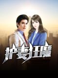护妻狂魔任清风柳清瑶