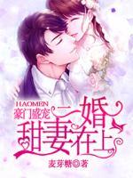 豪门盛宠:二婚甜妻在上