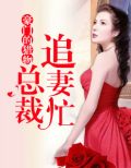 豪门的猎物:总裁追妻忙