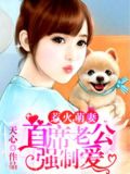 惹火萌妻:首席老公强制爱
