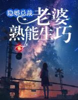 隐婚总裁:老婆,熟能生巧