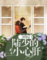 二婚临门:陆少的小心肝