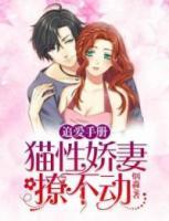 追爱手册:猫性娇妻撩不动