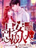 一夜惊喜:早安,总裁大人