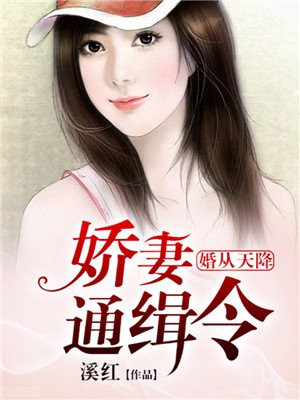 婚从天降:娇妻通缉令