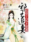 邪王追妻:妖孽王妃不要逃