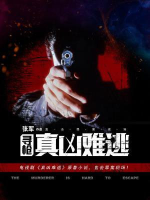 寻枪:真凶难逃
