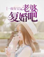 一夜有宝:老婆复婚吧