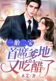 一胎二宝:首席爹地又吃醋了