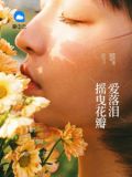 季少,晚上见
