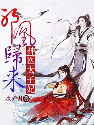 邪凰归来:神医太子妃