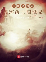 三国请回答!崩坏的三国演义