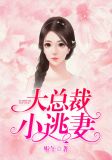 大总裁,小逃妻!