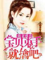 萌妻难养:宝贝束手就擒吧
