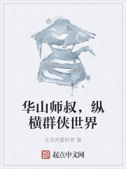 华山师叔,纵横群侠世界