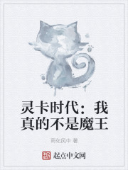 灵卡时代:我真的不是魔王