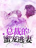 总裁的蜜宠逃妻云初月