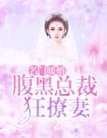 名门暖婚:腹黑总裁狂撩妻