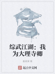 综武江湖:我为大理寺卿