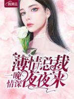 一晚情深,薄情总裁夜夜来