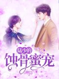 李兮陆泽