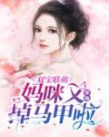 双宝联萌:爹地,妈咪又掉马甲啦