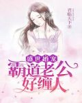 盛世婚宠:霸道老公好缠人