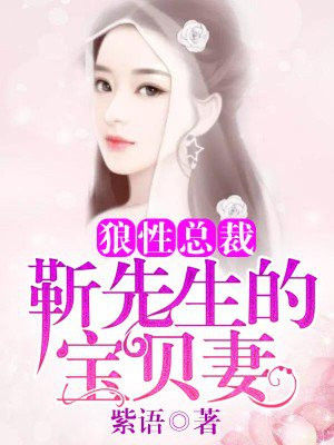 狼性总裁:靳先生的宝贝妻
