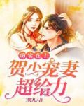 萌宝在上:贺少宠妻超给力